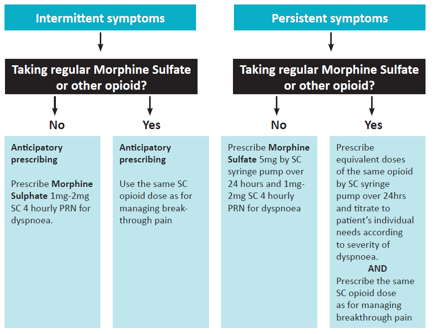 Image showing flow chart options for Intermittent Symptoms and Persistent Symptoms