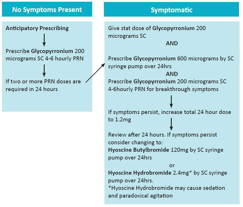 Image of 2 flowcharts, one for No Symptoms Present and one for Symptomatic
