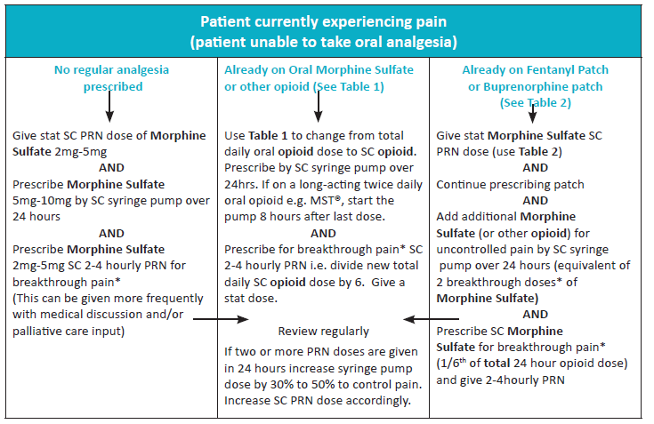 Image of table showing options for Patient current experiencing pain (patient unable to take oral analgesia)